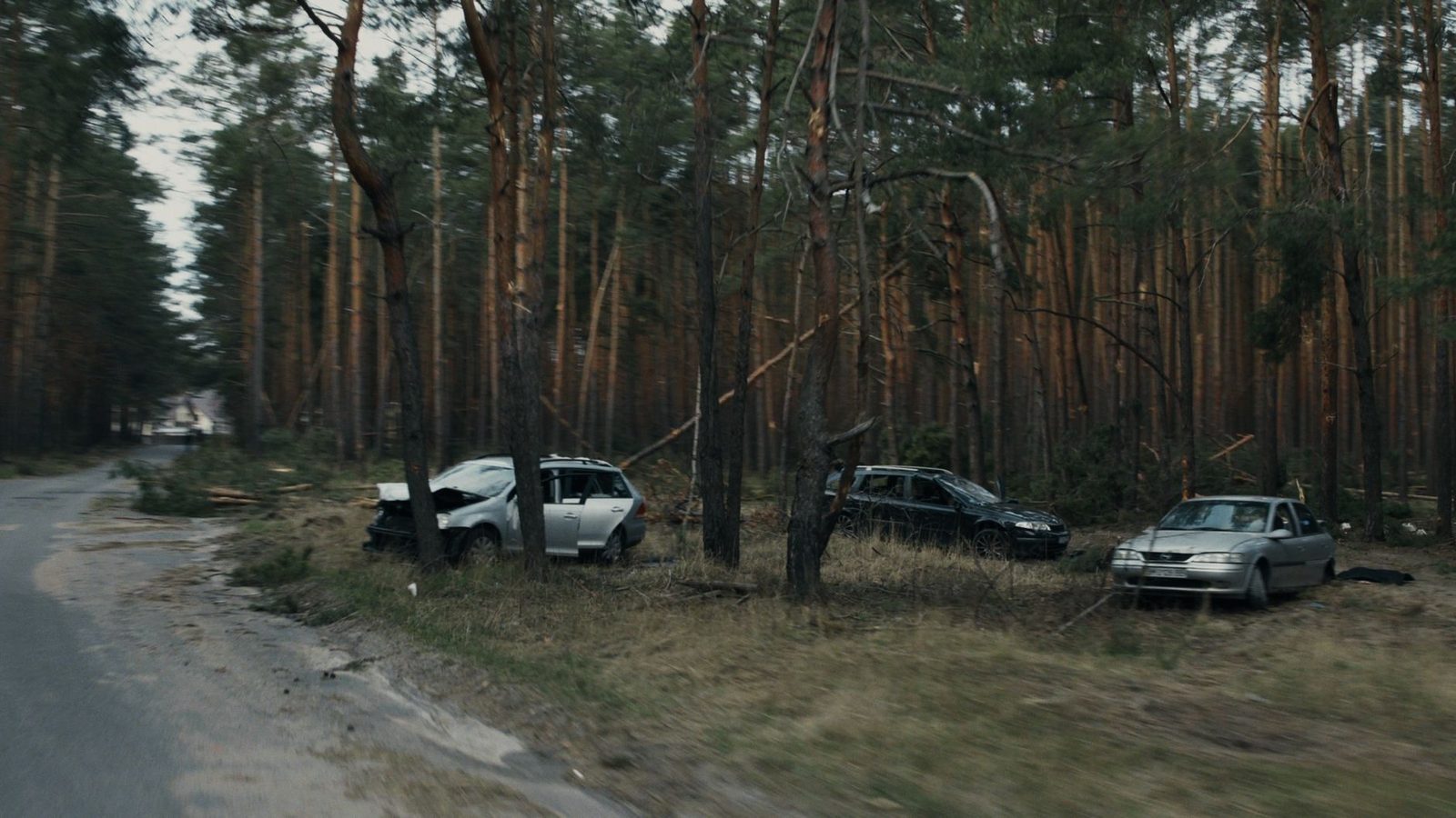 Damaged vehicles resting in a wooded area after a road accident.
